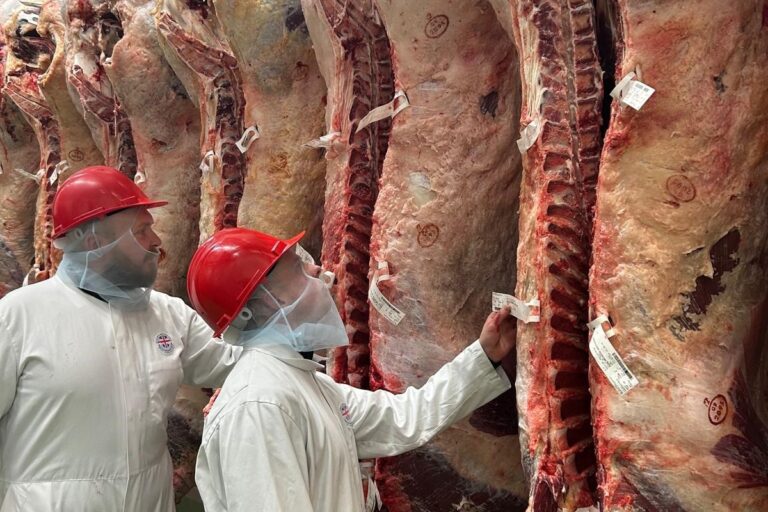 Two Hartshead Meats colleagues inspecting beef carcasses