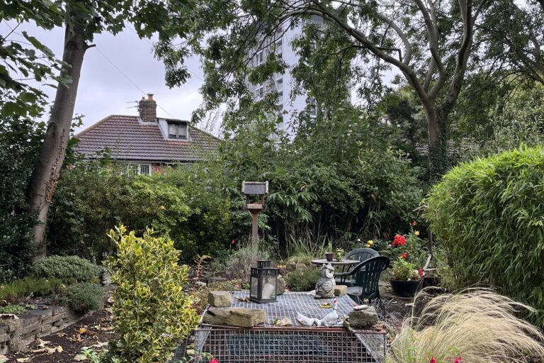 Gorton Community Garden Pond