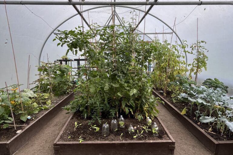 Large polytunnel housing