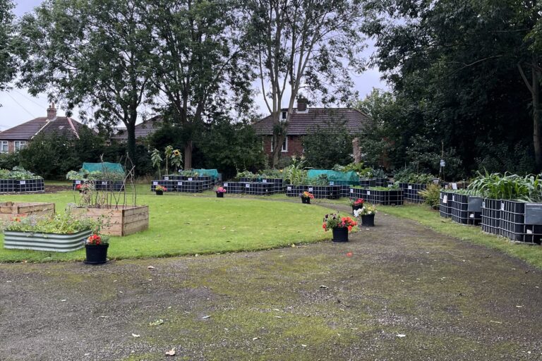 large garden area with raised planting beds