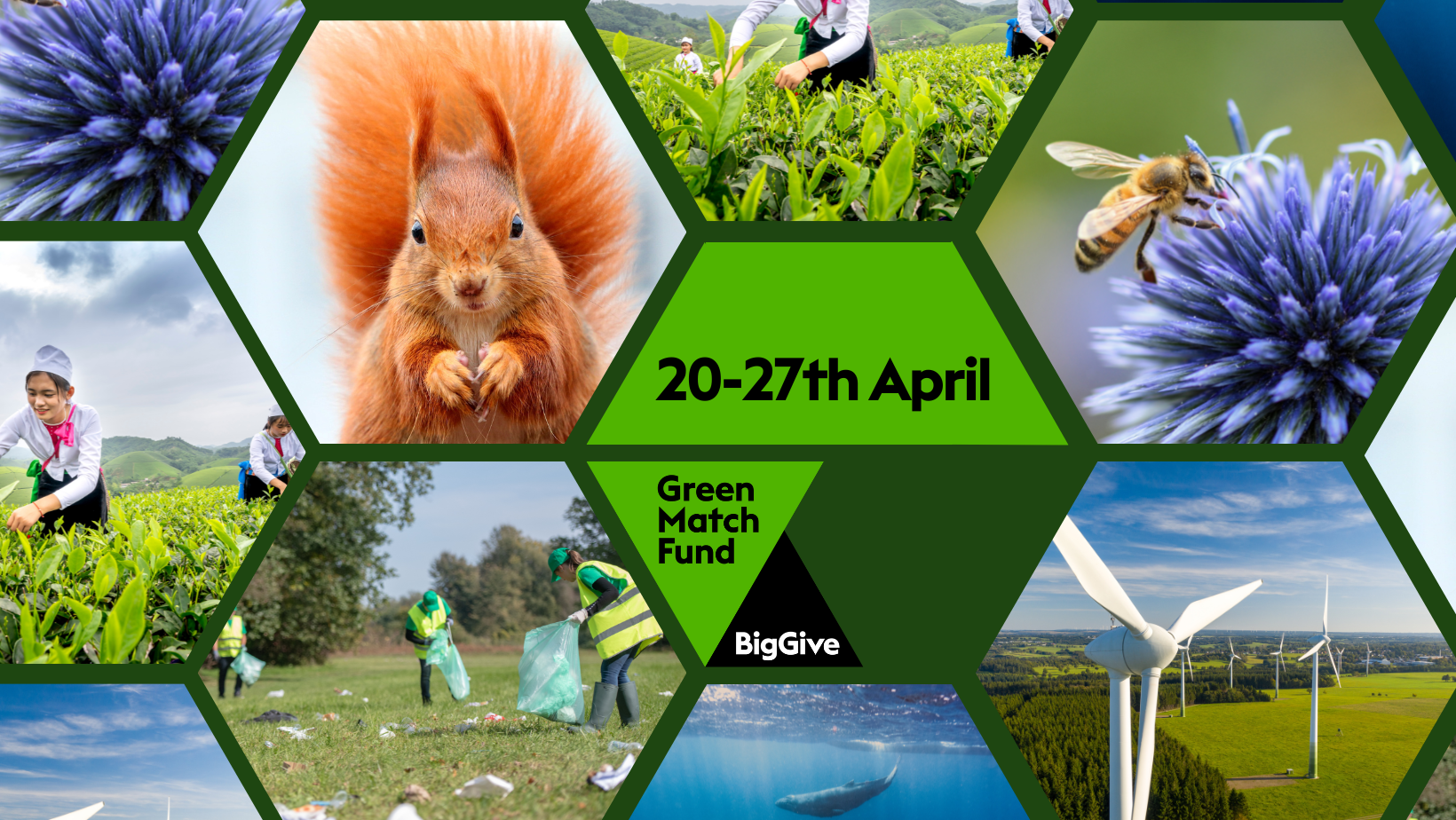 Green Match Fund - BigGive