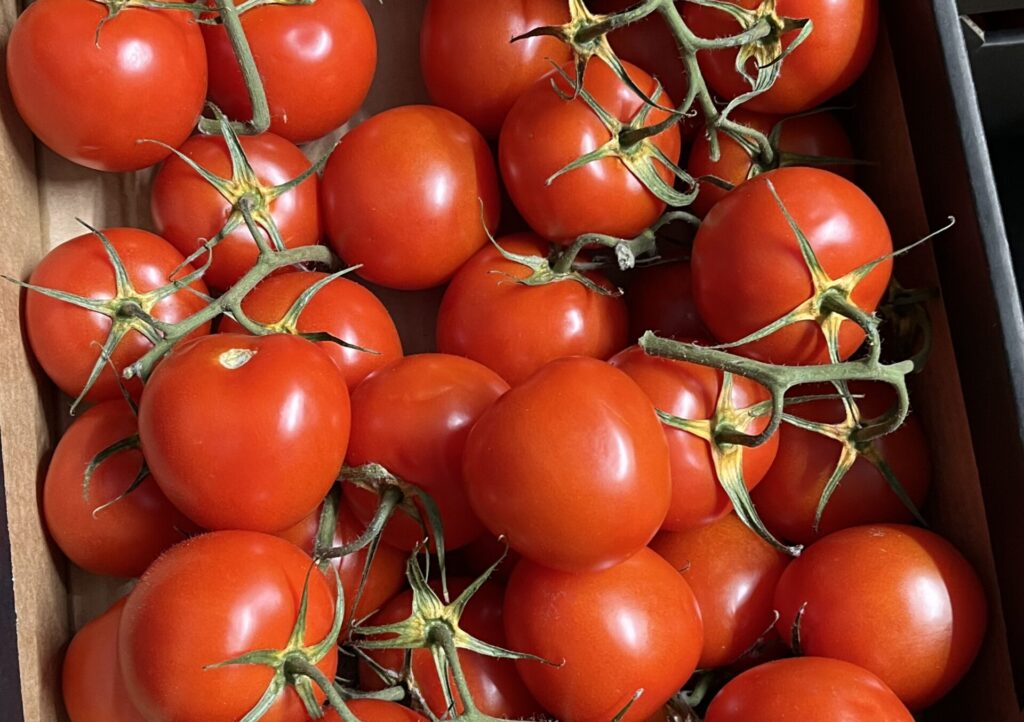 Image shows a crate of tomatoes on the vine